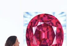 Greenland Ruby X Reena Ahluwalia Fundraiser Goes Phygital with Ruby Art NFT